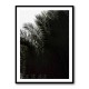 Palm Leaves 3 Wall Art