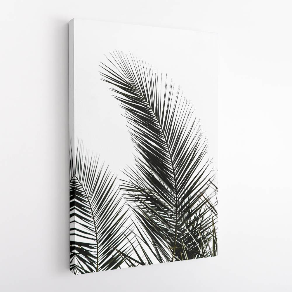 Palm Leaves 1 Wall Art