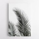 Palm Leaves 1 Wall Art