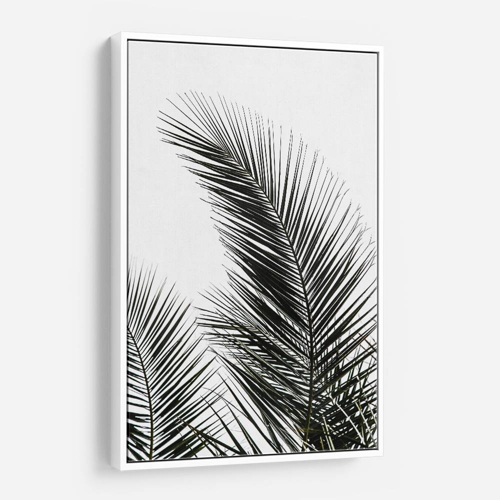 Palm Leaves 1 Wall Art