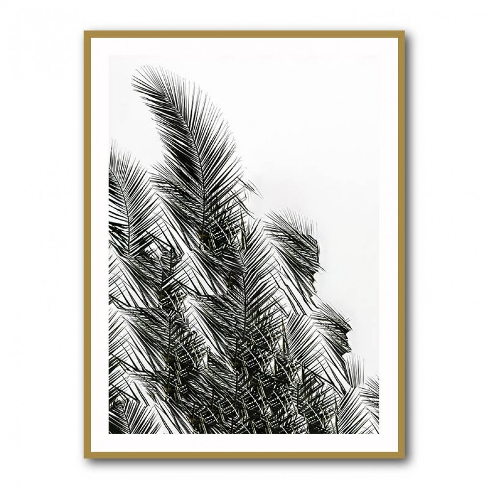 Palm Leaves 1 Wall Art