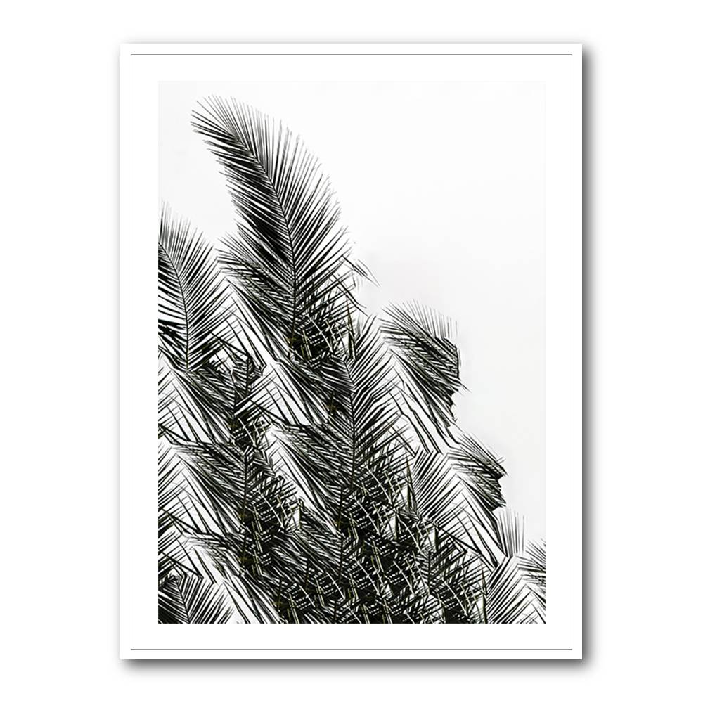 Palm Leaves 1 Wall Art