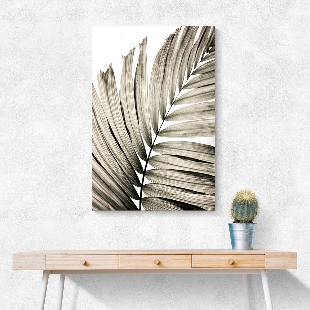 Palm Leaves 22 Wall Art