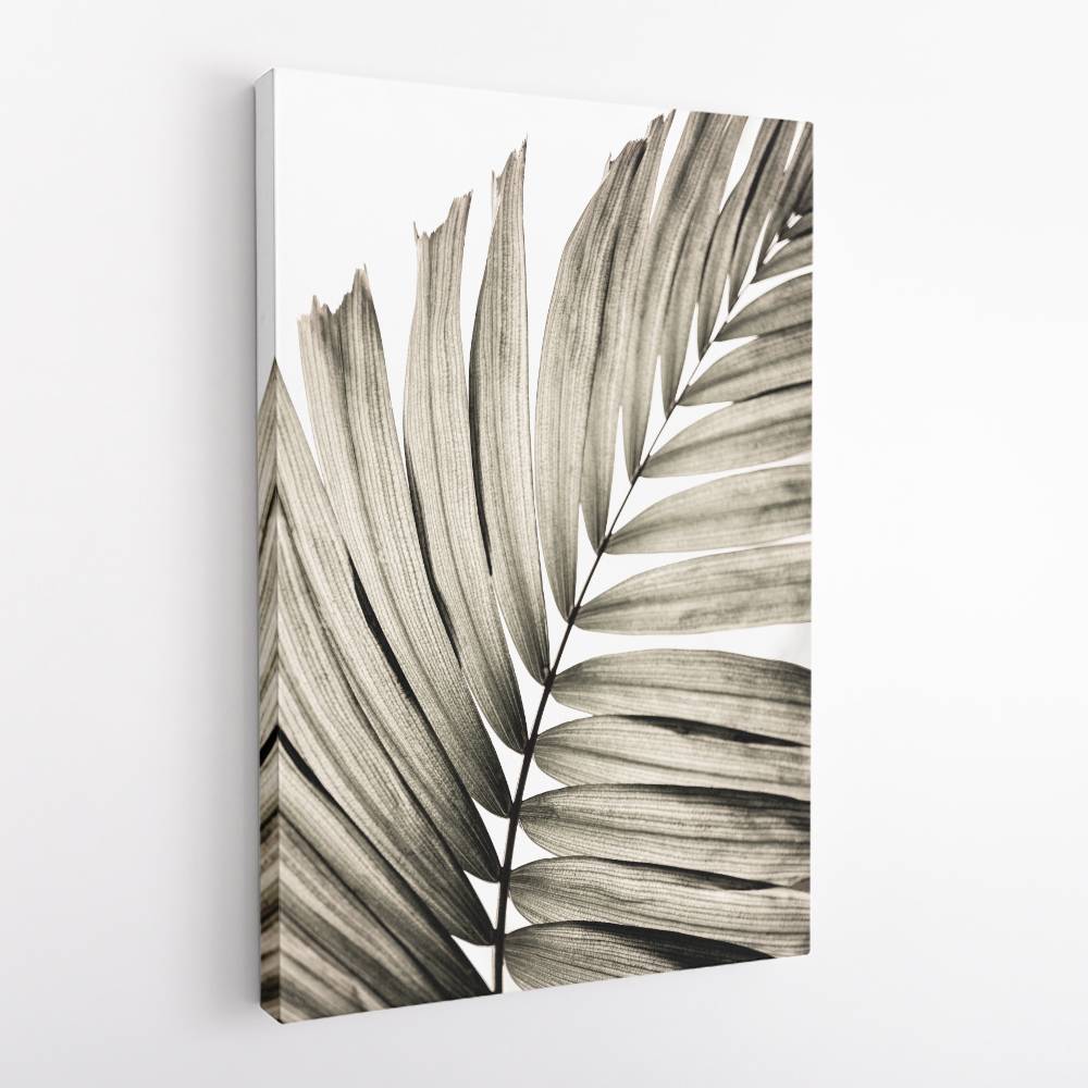 Palm Leaves 22 Wall Art