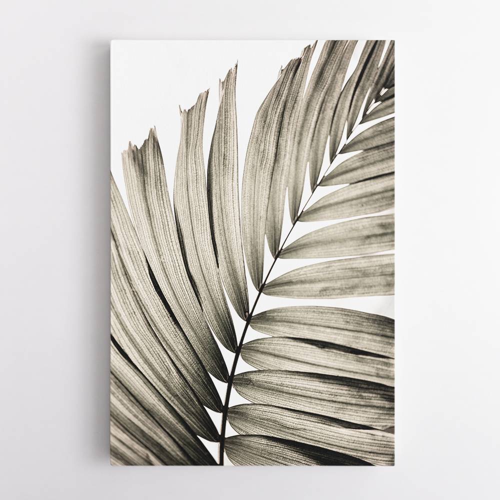 Palm Leaves 22 Wall Art