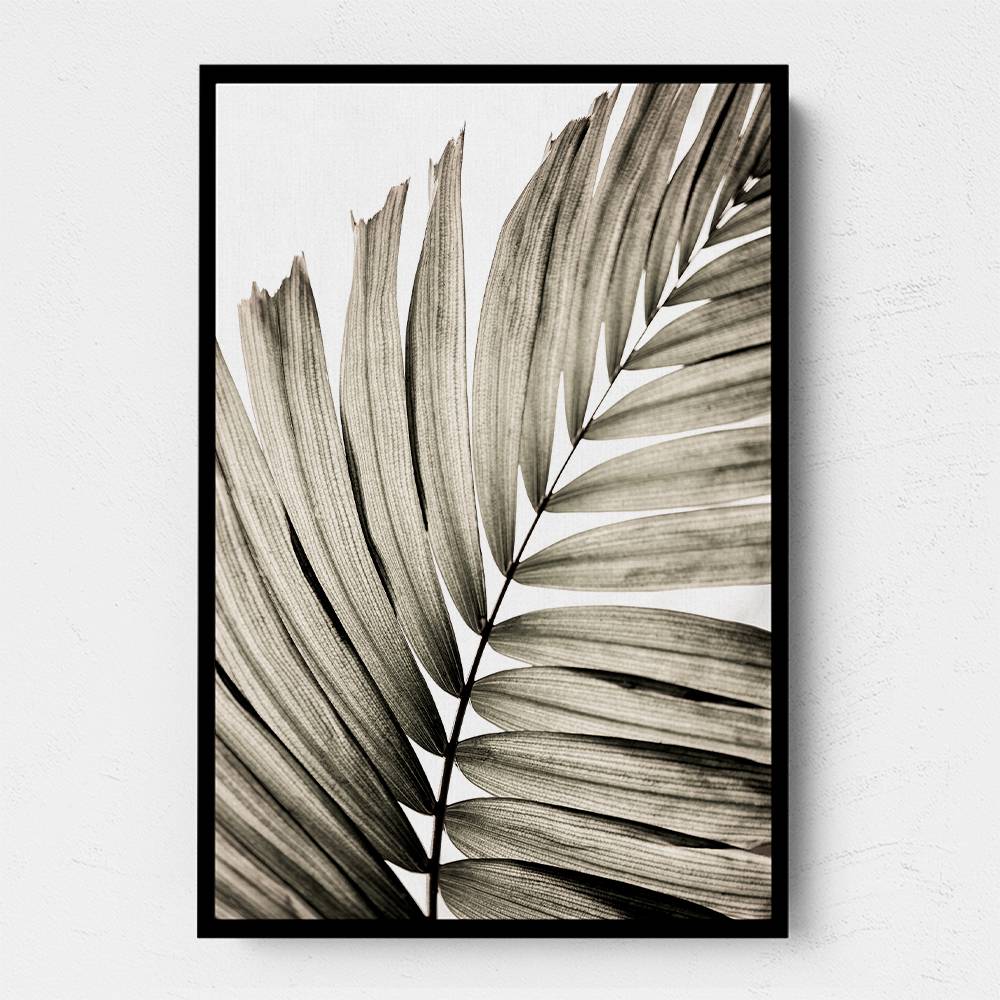 Palm Leaves 22 Wall Art