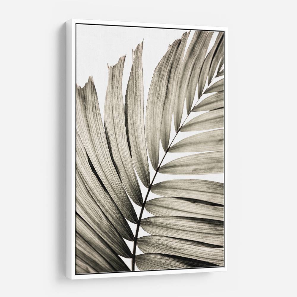 Palm Leaves 22 Wall Art