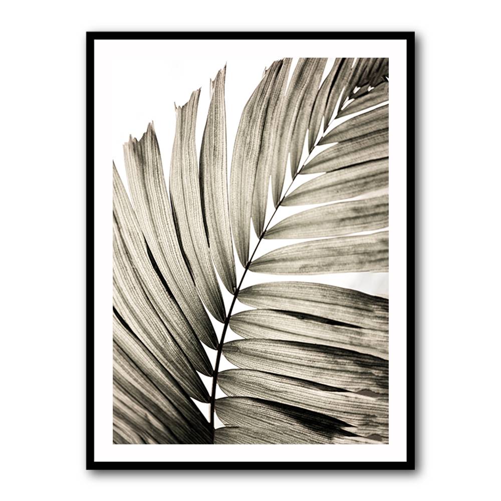 Palm Leaves 22 Wall Art