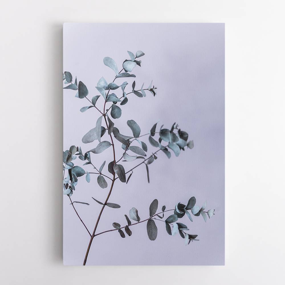 Eucalyptus 13 Wall Art