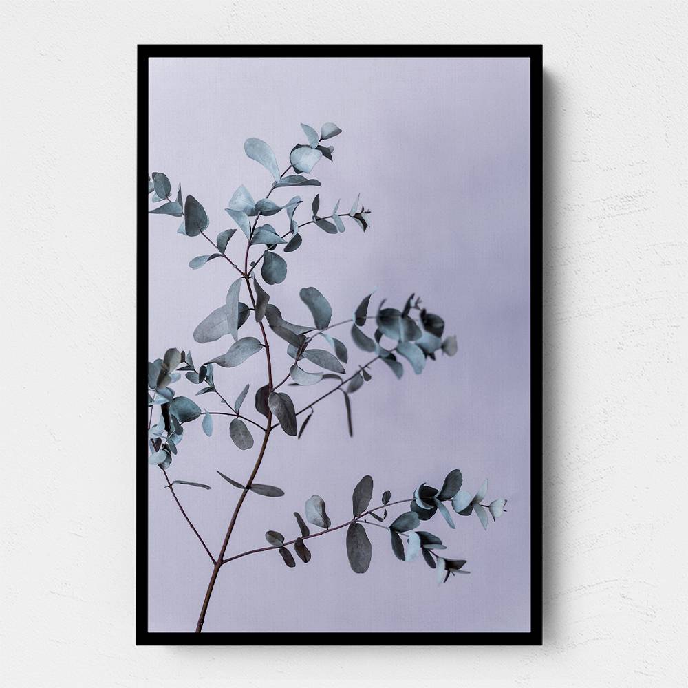 Eucalyptus 13 Wall Art