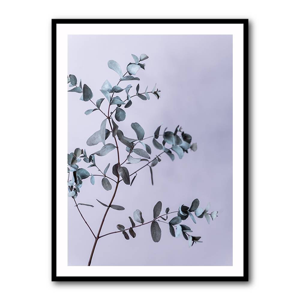 Eucalyptus 13 Wall Art