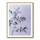 Eucalyptus 13 Wall Art