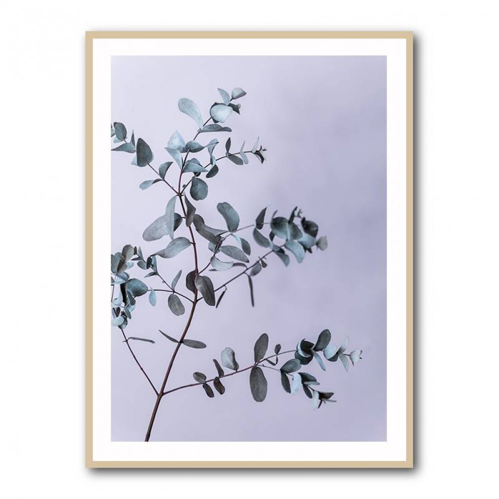 Eucalyptus 13 Wall Art