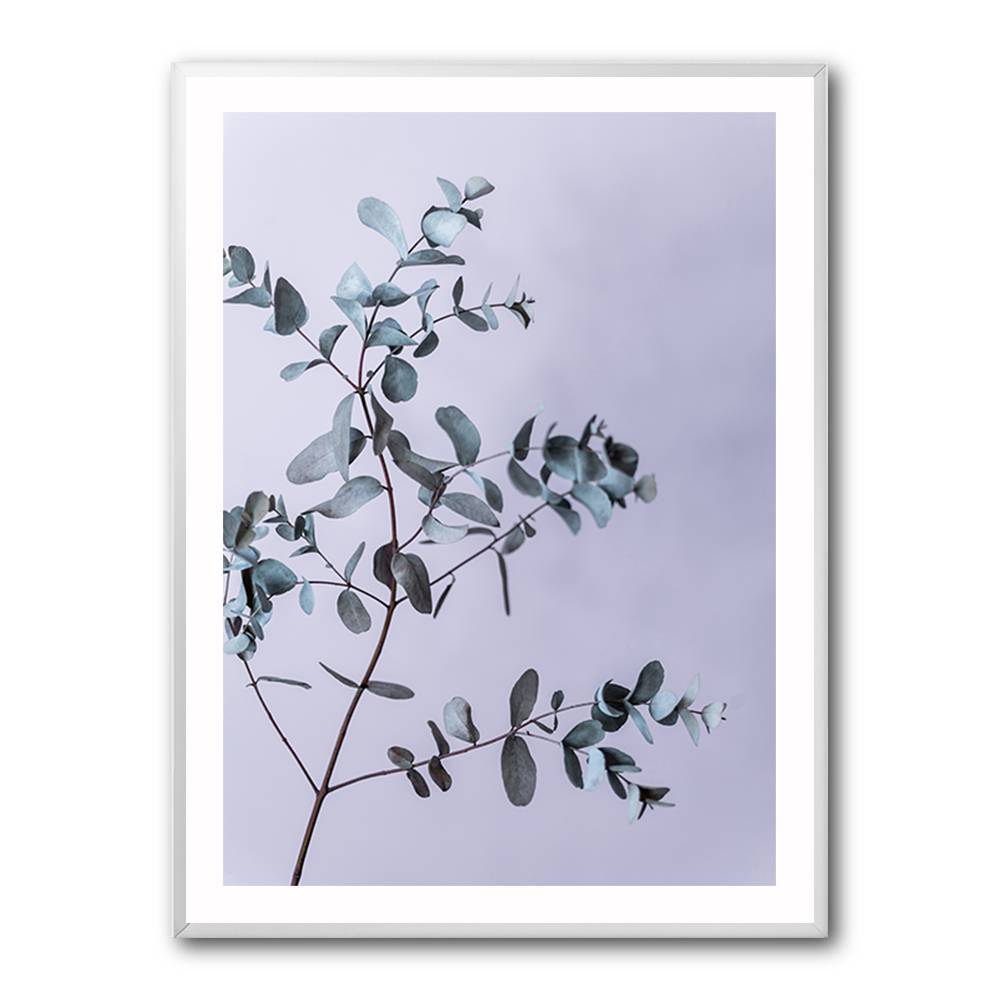 Eucalyptus 13 Wall Art