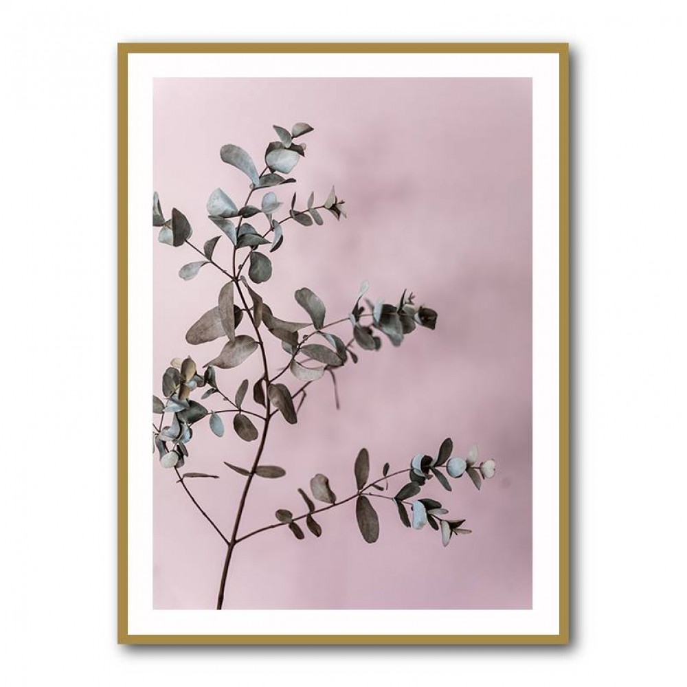 Eucalyptus 12 Wall Art