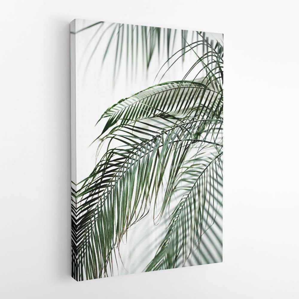 Palm Leaves 21 Wall Art