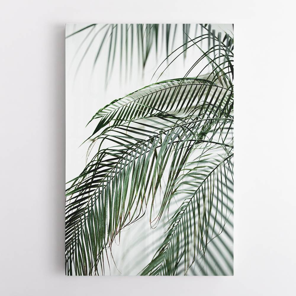 Palm Leaves 21 Wall Art