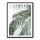 Palm Leaves 21 Wall Art