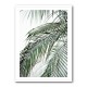 Palm Leaves 21 Wall Art