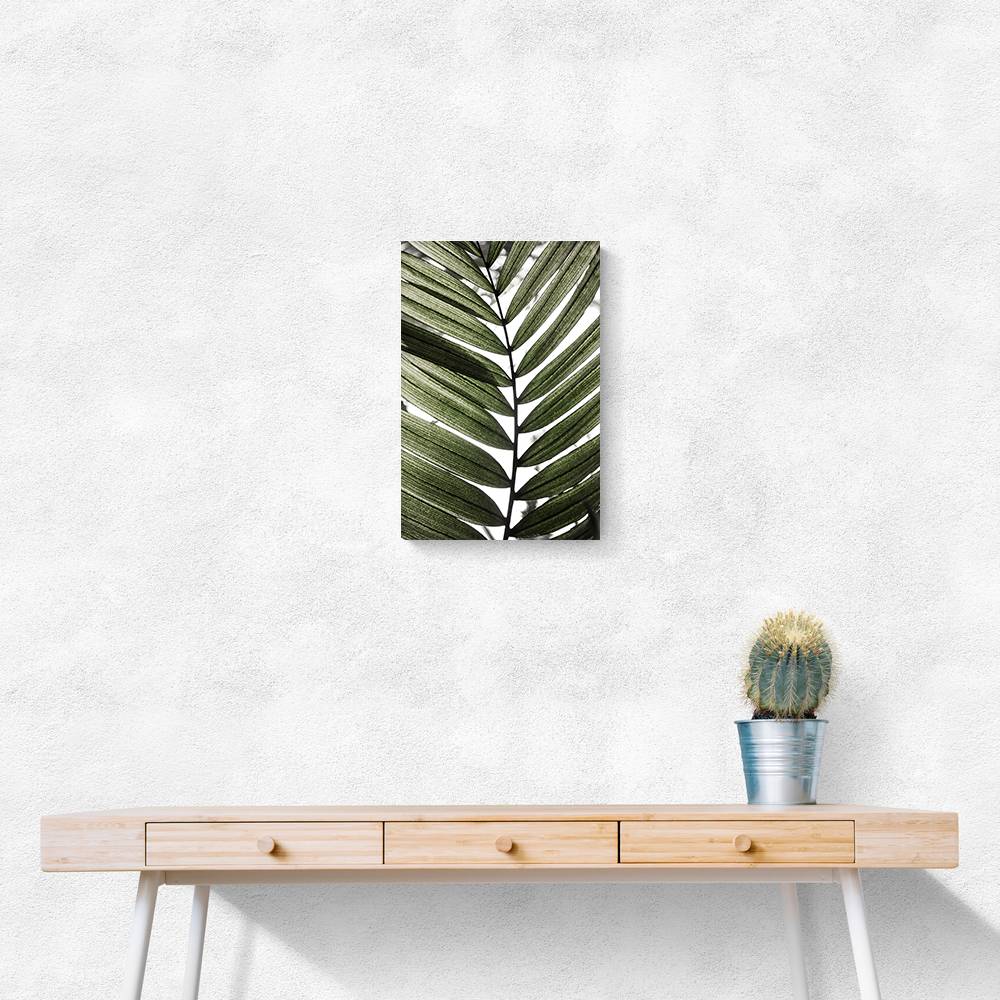 Palm Leaves 24 Wall Art