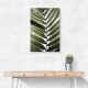 Palm Leaves 24 Wall Art