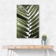 Palm Leaves 24 Wall Art