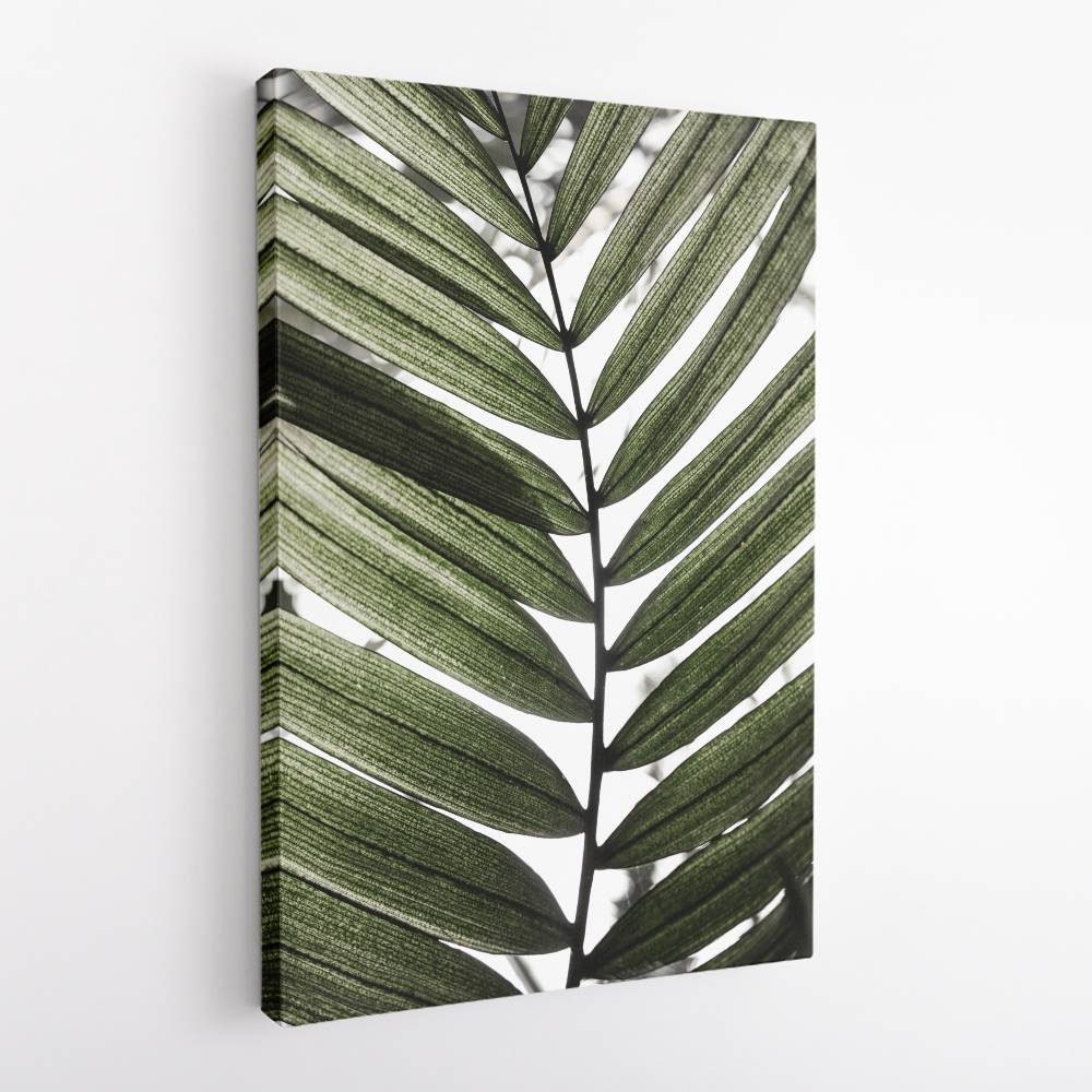 Palm Leaves 24 Wall Art