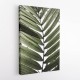 Palm Leaves 24 Wall Art