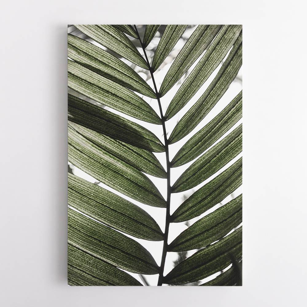 Palm Leaves 24 Wall Art