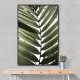 Palm Leaves 24 Wall Art