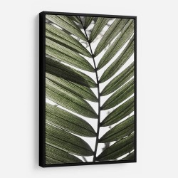 Palm Leaves 24 Wall Art