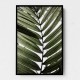 Palm Leaves 24 Wall Art