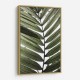 Palm Leaves 24 Wall Art