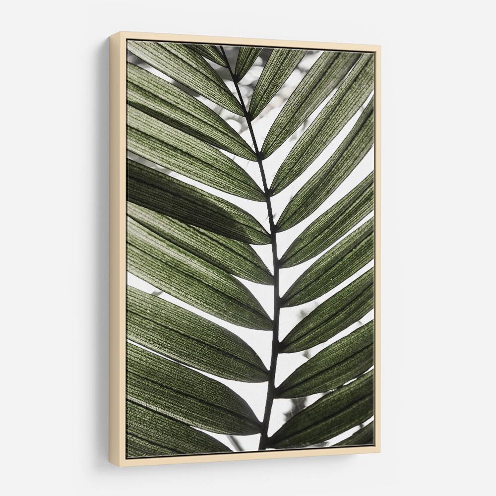 Palm Leaves 24 Wall Art