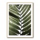 Palm Leaves 24 Wall Art