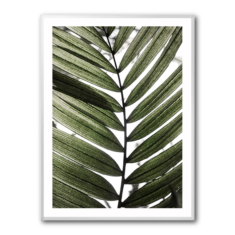 Palm Leaves 24 Wall Art