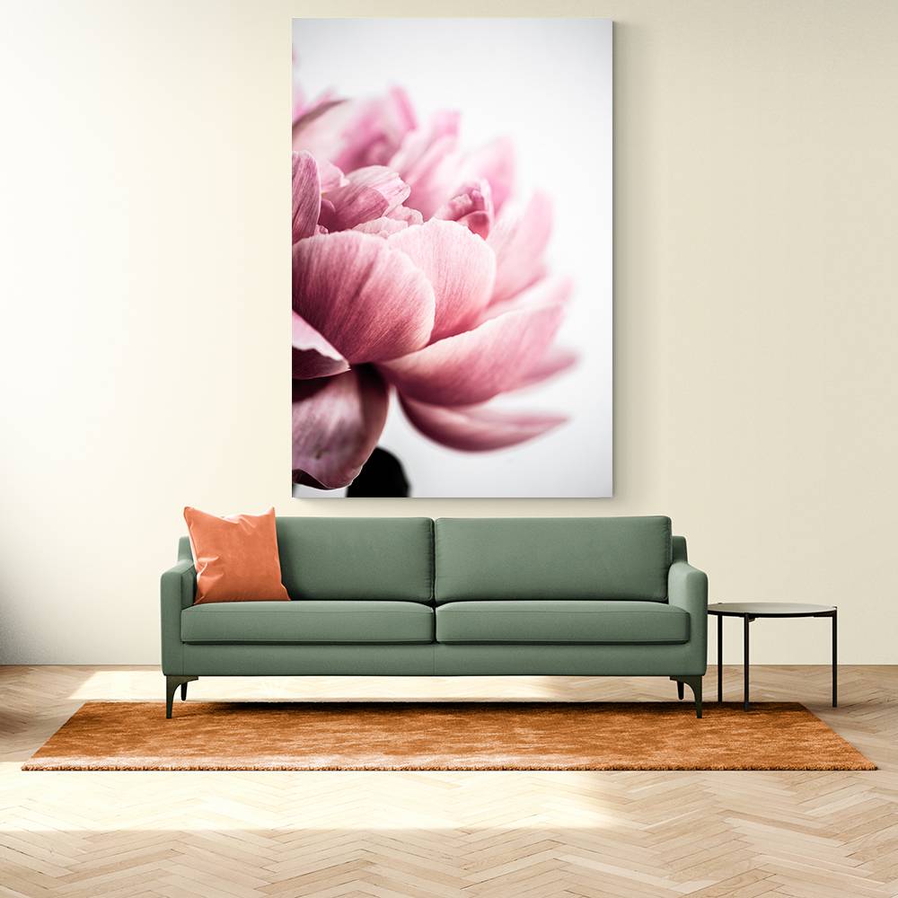 Peony 1 Wall Art