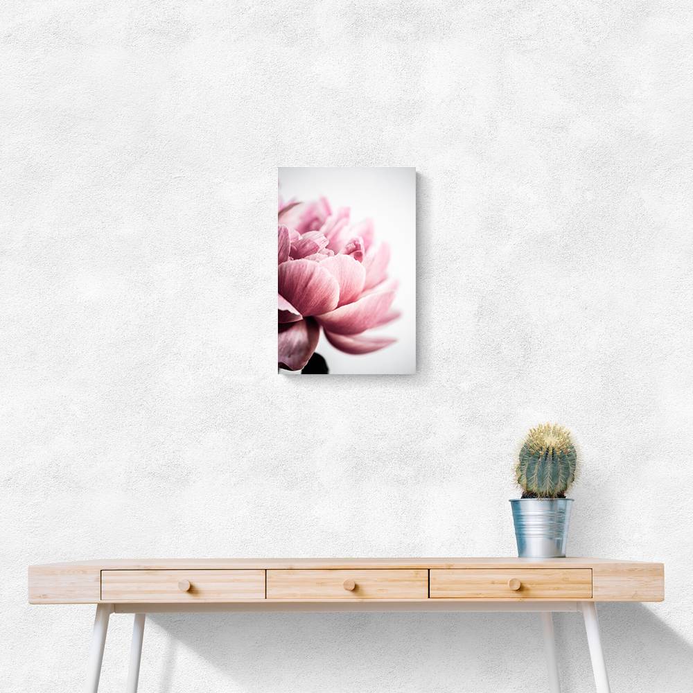 Peony 1 Wall Art