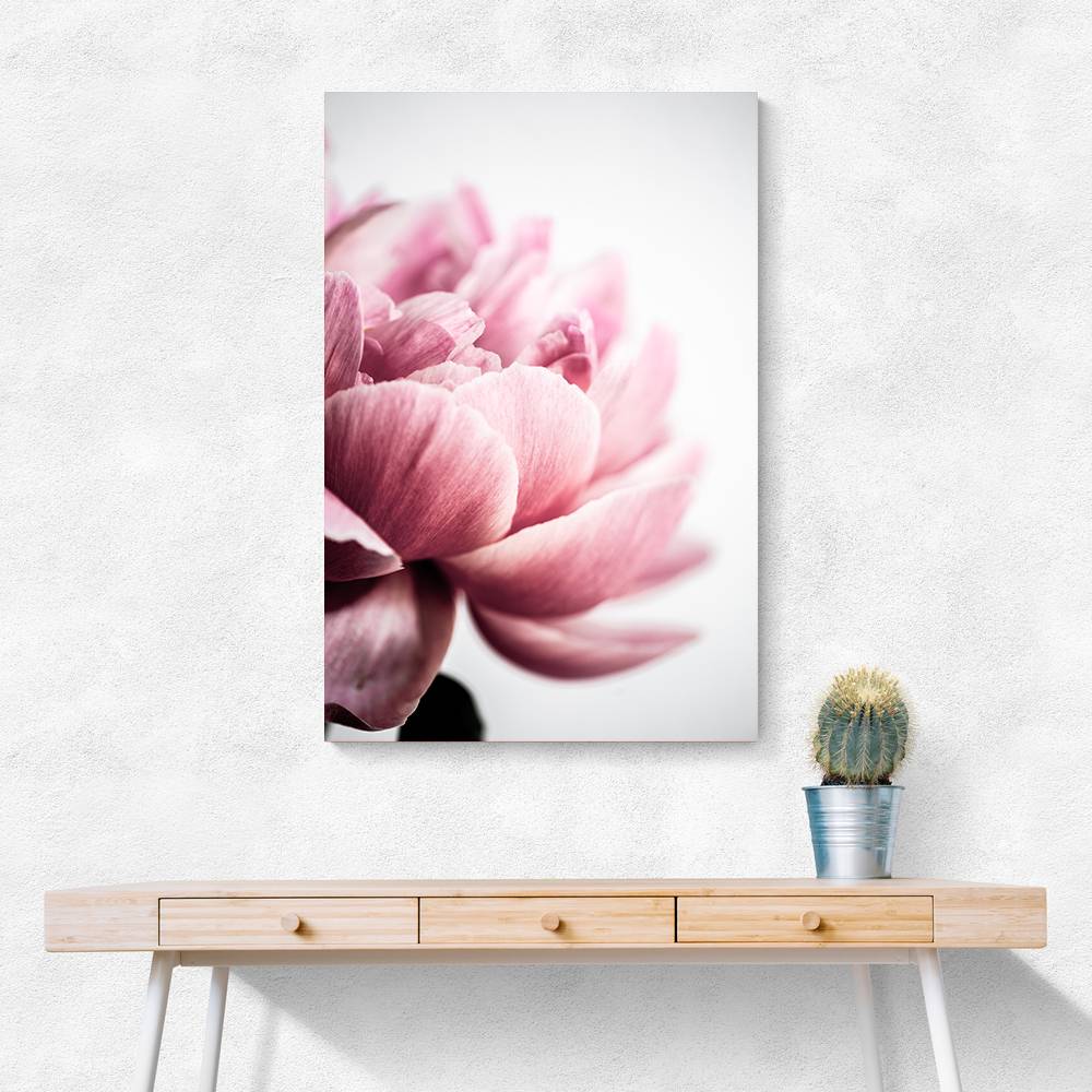 Peony 1 Wall Art