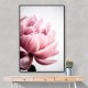 Peony 1 Wall Art