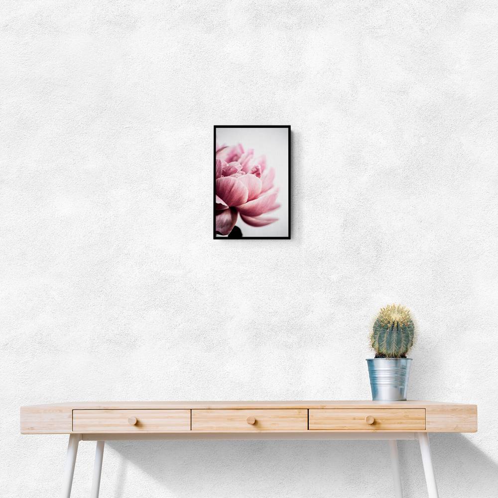 Peony 1 Wall Art