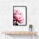 Peony 1 Wall Art