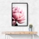 Peony 1 Wall Art