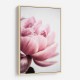 Peony 1 Wall Art