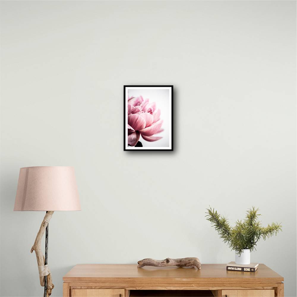 Peony 1 Wall Art