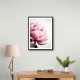 Peony 1 Wall Art