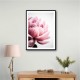 Peony 1 Wall Art