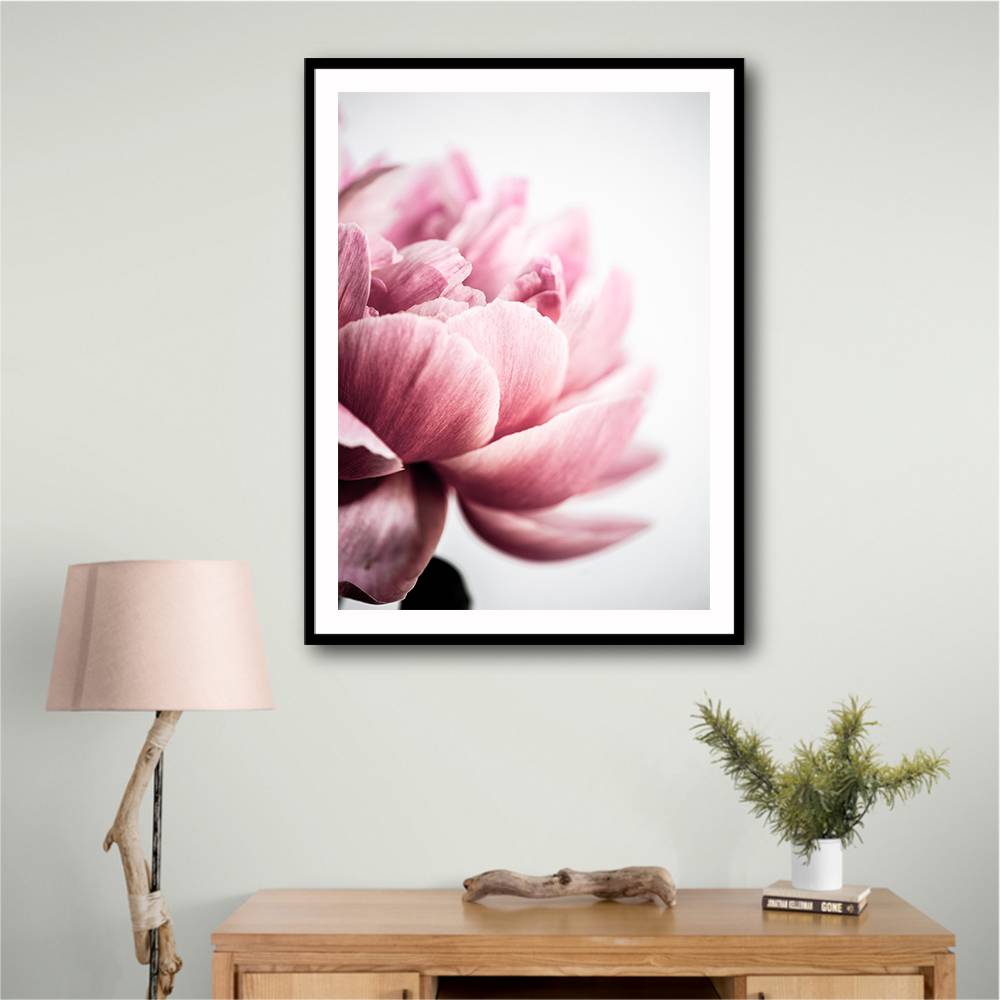 Peony 1 Wall Art