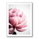 Peony 1 Wall Art