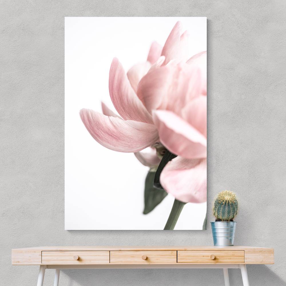 Peony 2 Wall Art